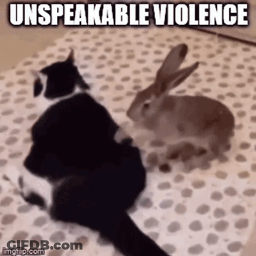 Cat And Rabbit Sitting On Blanket Saying Unspeakable Violence GIF