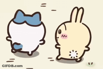 Cat And Rabbit Standing Together GIF