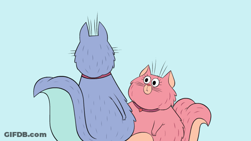 Cat And Squirrel Shh Silence GIF