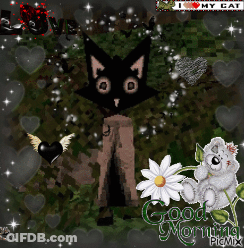Cat And Teddy Bear Saying Good Morning GIF