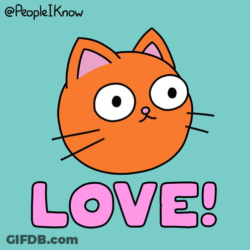 Cat And The Word Love GIF