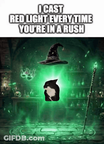 Cat And Witch Hat Saying I Cast Red Light Every Time You're In A Rush GIF