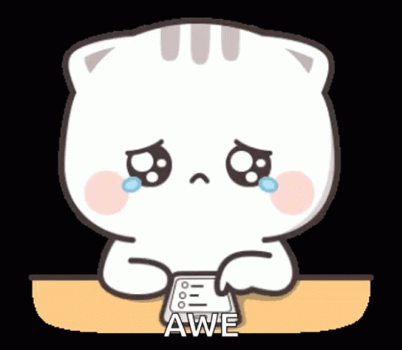 Cat Animate Sticker Awe GIF