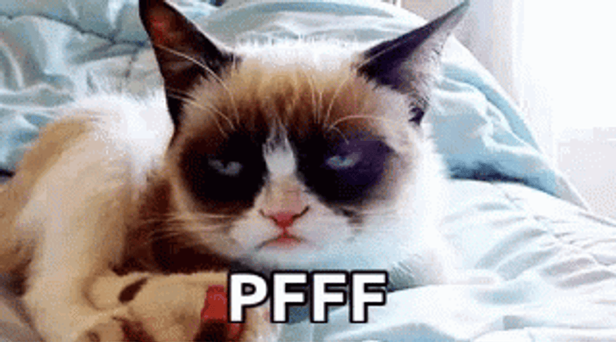 Cat Annoyed Pfft GIF