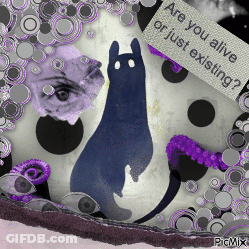 Cat Are You Alive Or Just Existing GIF