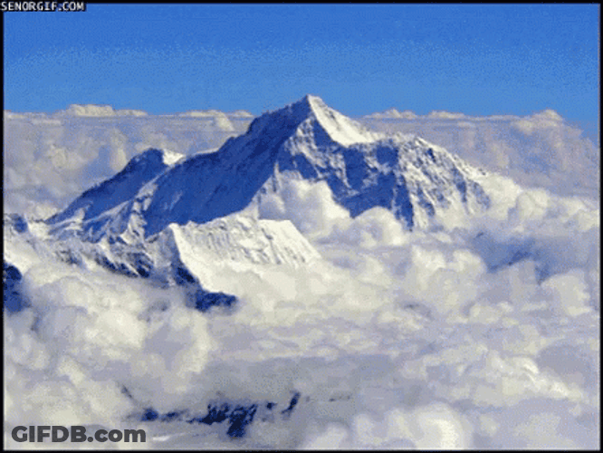 Cat As A Mountain Climbers On The Peak GIF