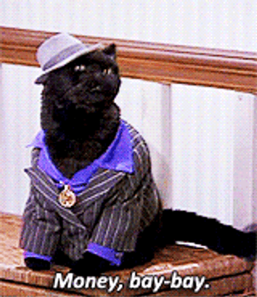 Cat Asking For Money GIF