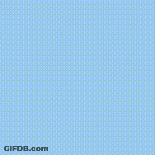 Cat Asking How Are U GIF