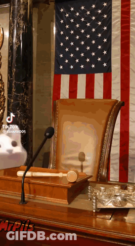 Cat At Microphone In Front Of American Flag GIF