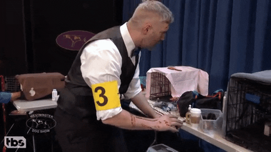 Cat Attacks Man GIF