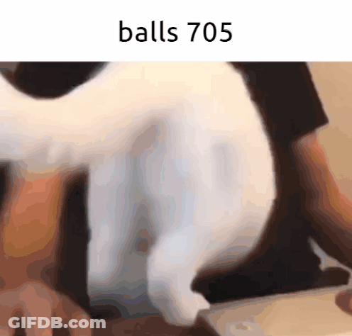 Cat Balls 705 GIF