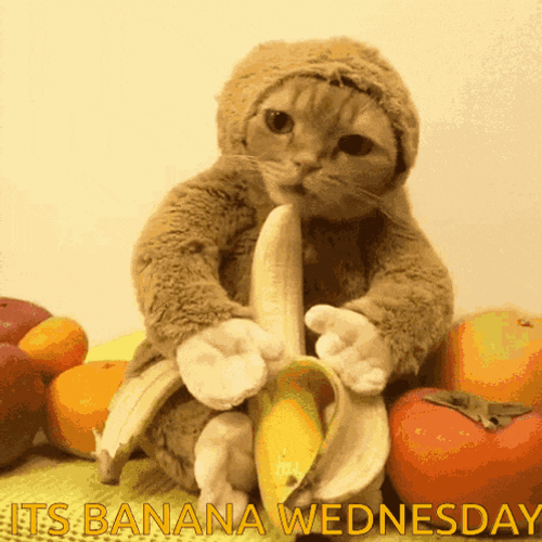 Cat Banana GIF