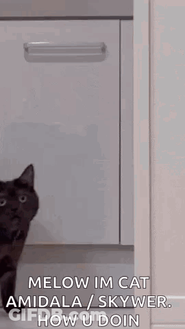 Cat Before Fire Me When No Battle Cats I Get Freaky GIF