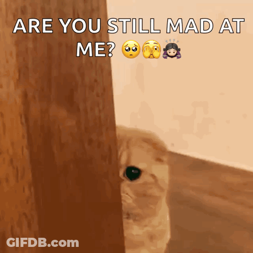 Cat Behind Door Saying Are You Still Mad At Me GIF