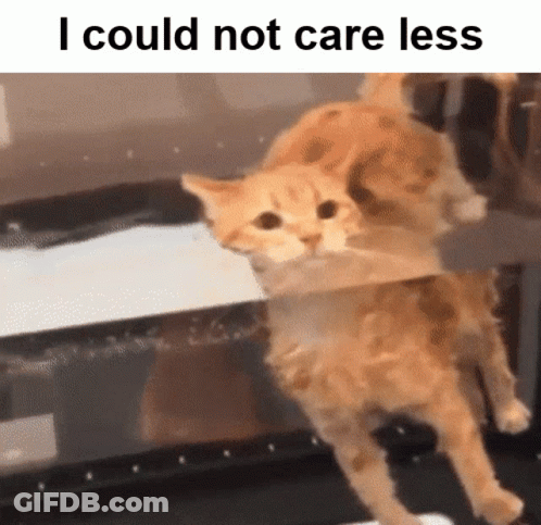 Cat Behind Glass I Could Not Care Less GIF
