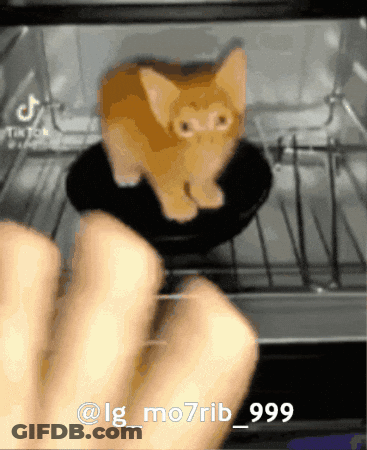 Cat Being Cooked In Toaster Oven GIF