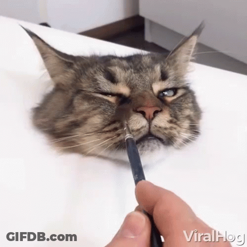 Cat Being Painted With Brush Viralhog GIF