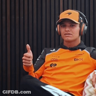 Cat Being Petted Giving Thumbs Up GIF