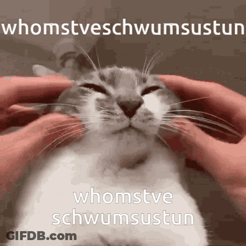 Cat Being Petted Whomstveschwumsustun GIF