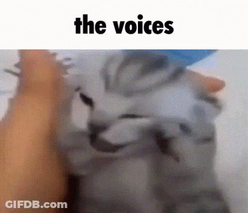 Cat Being Petted With The Voices Above GIF