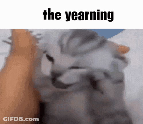 Cat Being Petted With Yearning GIF