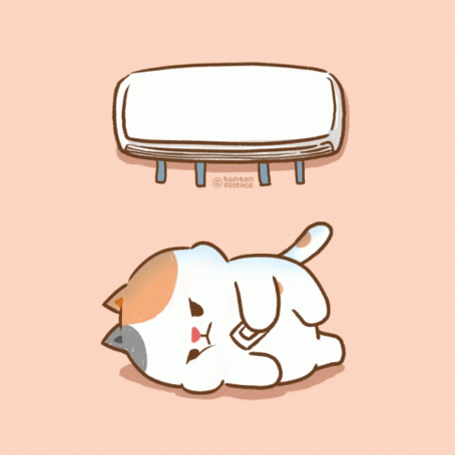 Cat Bella Air Conditioning GIF