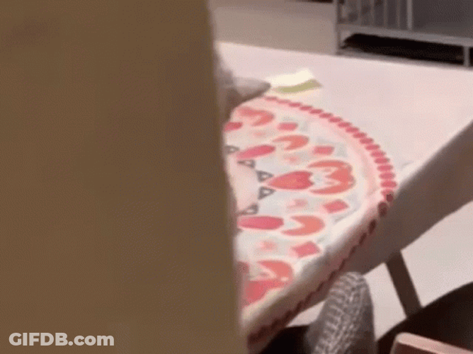 Cat Bend His Head And Stare GIF