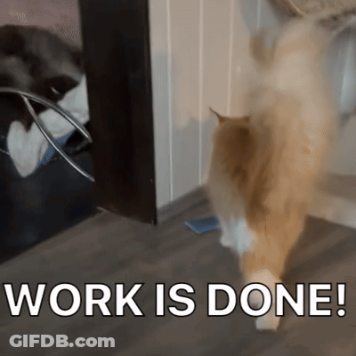 Cat Beside Sign Saying Work Is Done GIF