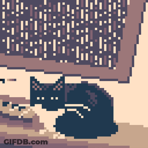 Cat Beside Window On Thunderstorm GIF