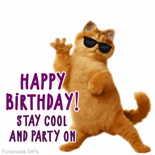 Cat Birthday Pet Birthday GIF