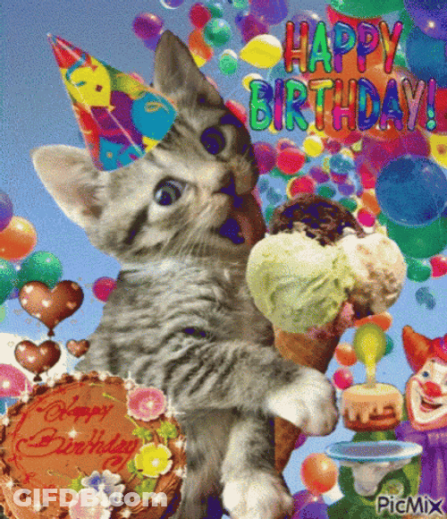Cat Birthday GIF