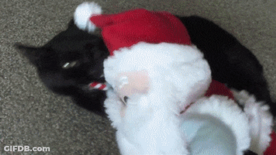 Cat Biting Santa Claus Candy Toy GIF