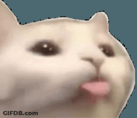Cat Bleh Meme Cat Blehh Sticker GIF