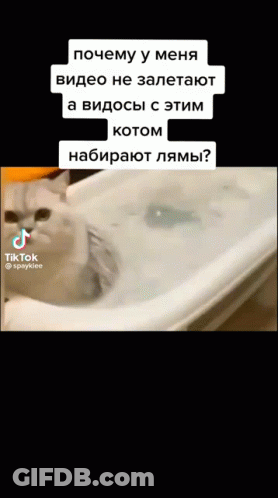 Cat Blowing Bubbles In Bathtub GIF