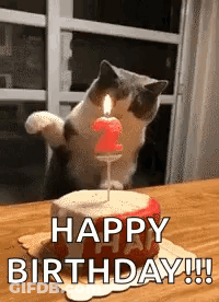 Cat Blowing Out Birthday Candle GIF