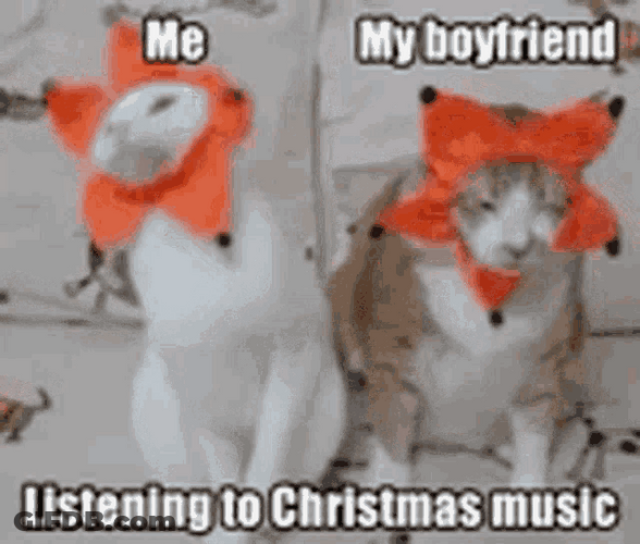 Cat Bobbing Head Christmas Music Couple Meme GIF