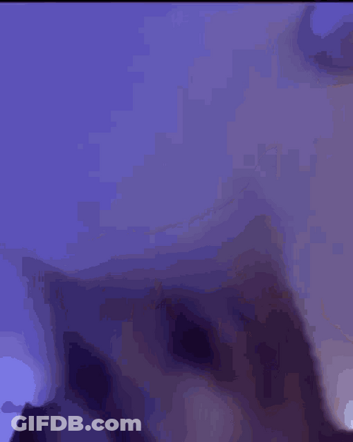 Cat Bobbing Head Crazy Dance Camera Shake GIF