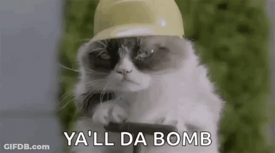 Cat Boss You Da Bomb GIF