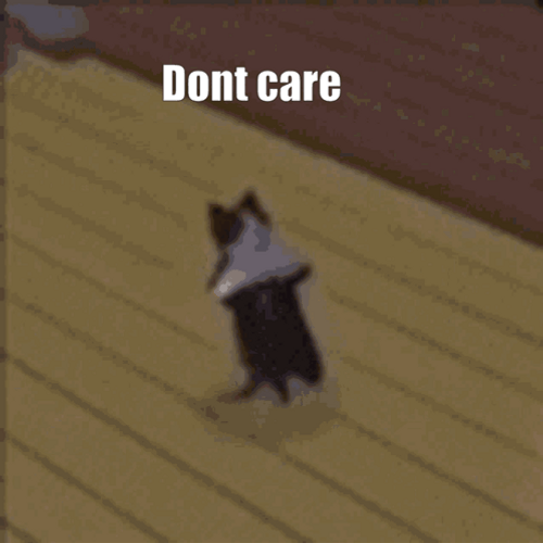 Cat Break Dancing Dont Care GIF