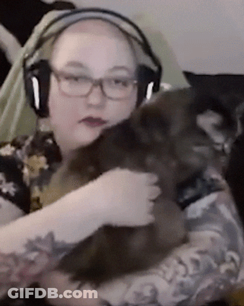 Cat Breakdancing By It's Human GIF