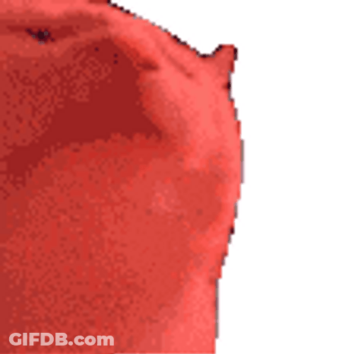 Cat Breakdancing Cat Jam GIF