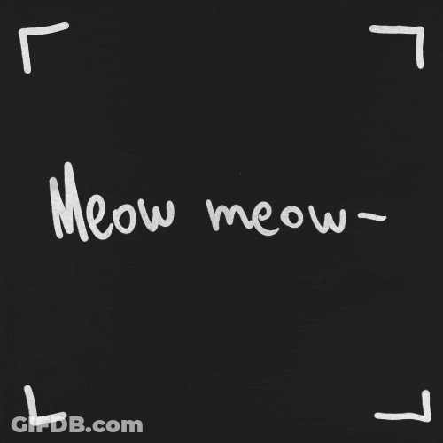 Cat Breakdancing Meow Meow GIF