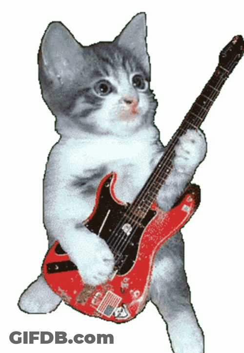 Cat Breakdancing Rock Guitar GIF
