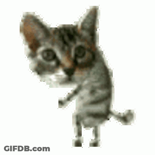 Cat Breakdancing Shaking GIF