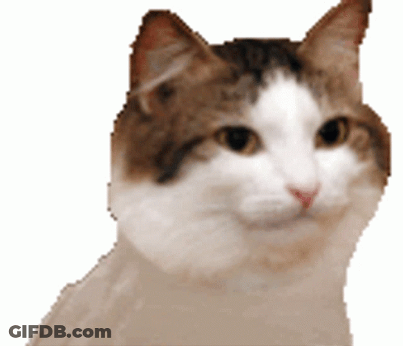 Cat Breakdancing Swaying GIF