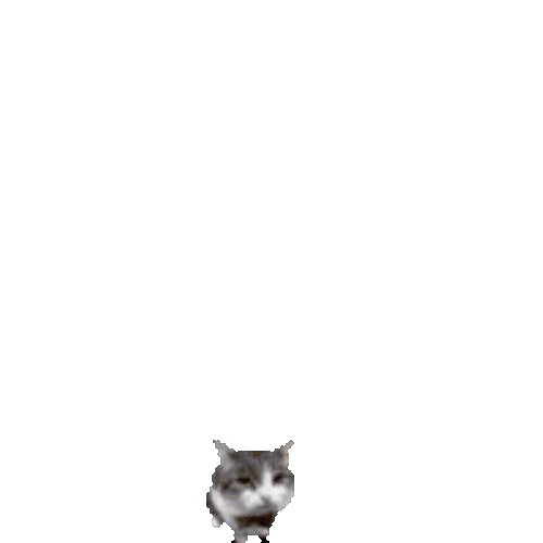 Cat Brick Sticker GIF