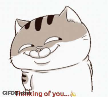 Cat Bro Was So Close To Forming A Thought GIF