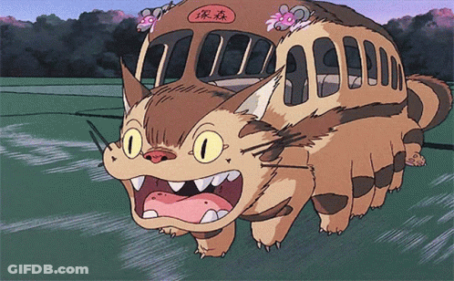 Cat Bus With Chinese Writing GIF