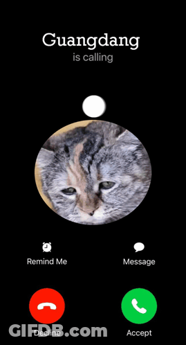Cat Called By Guangdang GIF