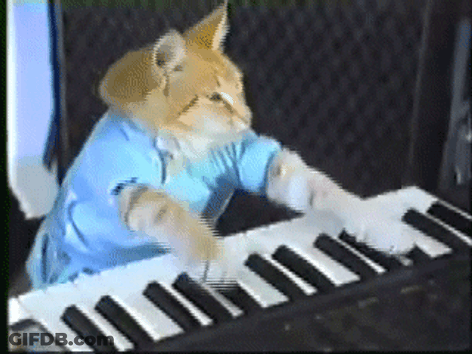 Cat Can't Touch Piano Keys GIF